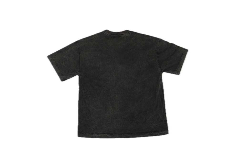 AMBITION FOR CASH // WASHED-OUT BLACK