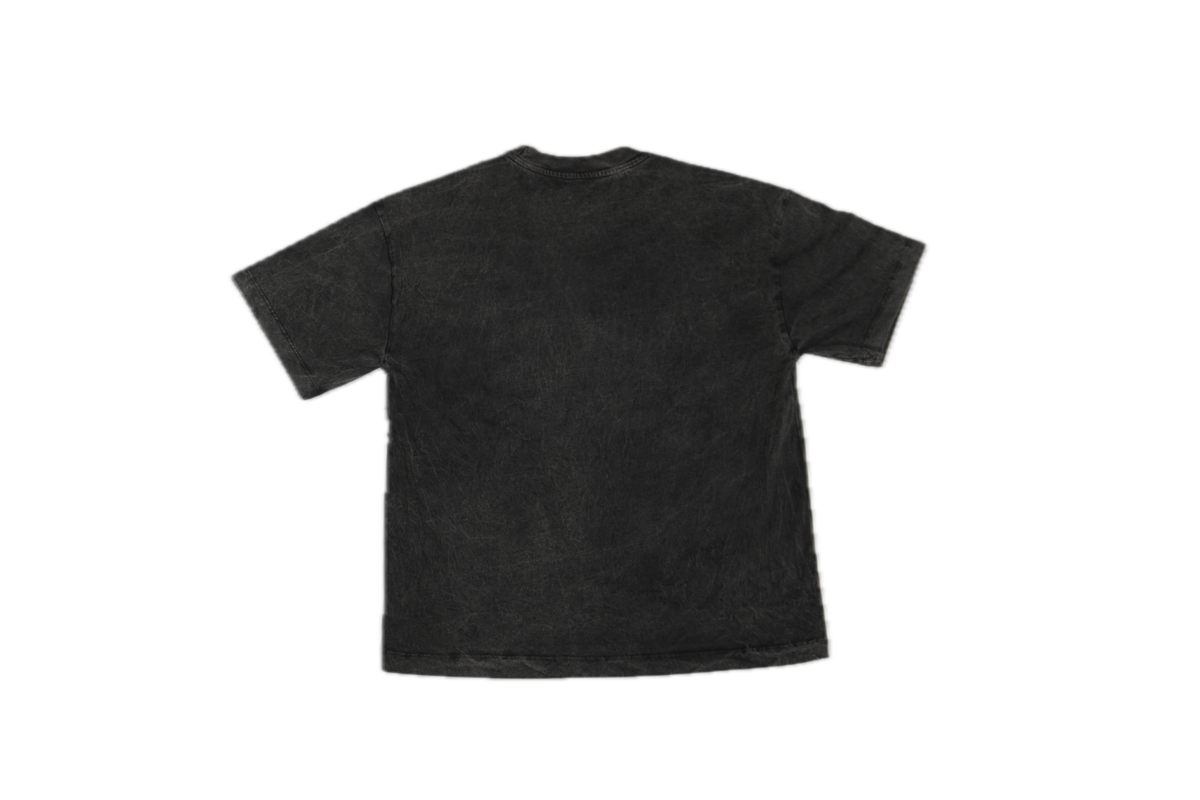 AMBITION FOR CASH // WASHED-OUT BLACK