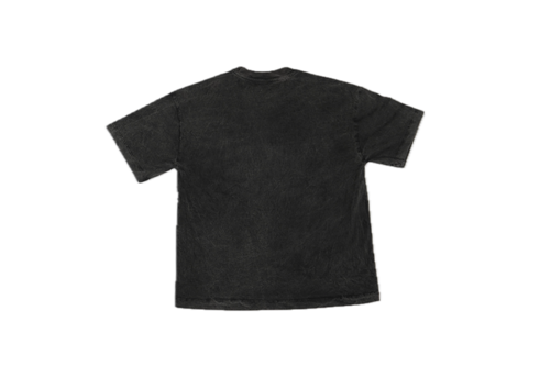AMBITION FOR CASH // WASHED-OUT BLACK